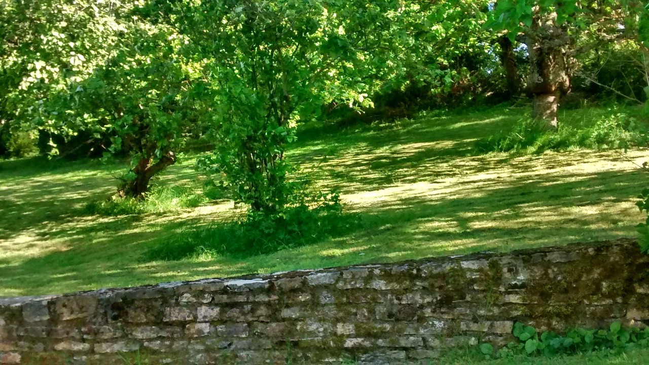Photo of Outdoor in Saint-Ythaire