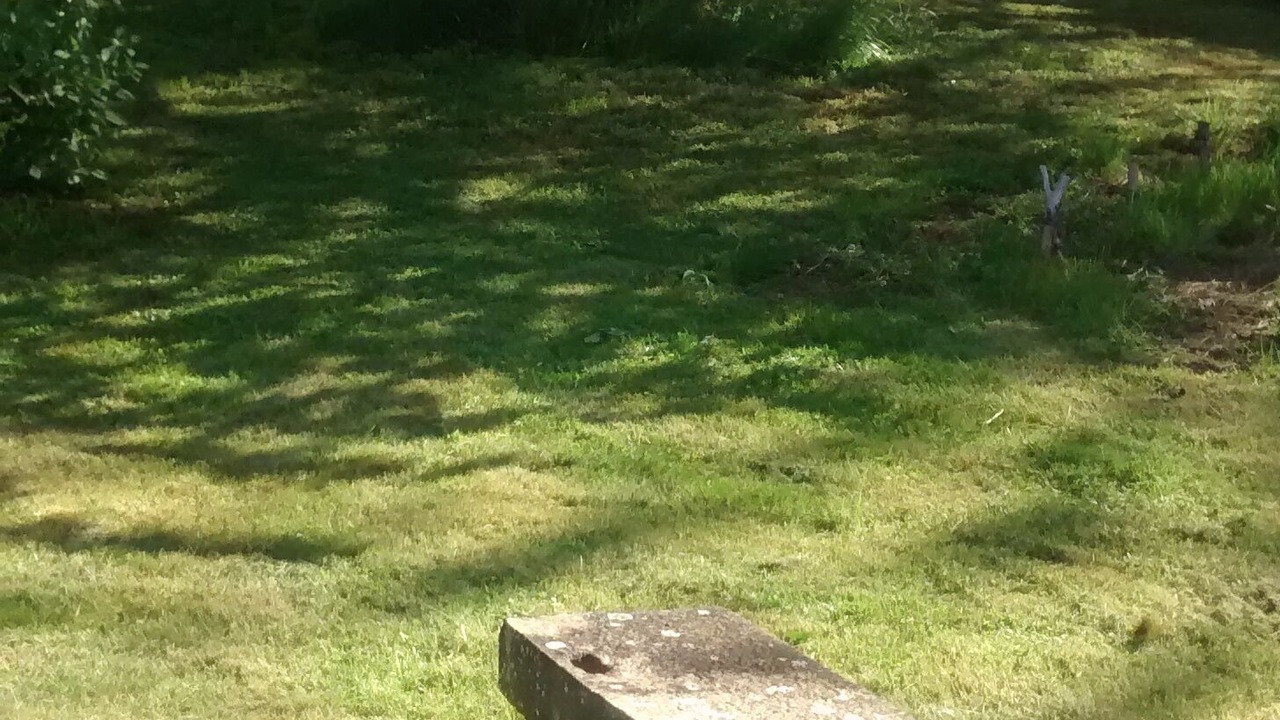 Photo of Outdoor in Saint-Ythaire