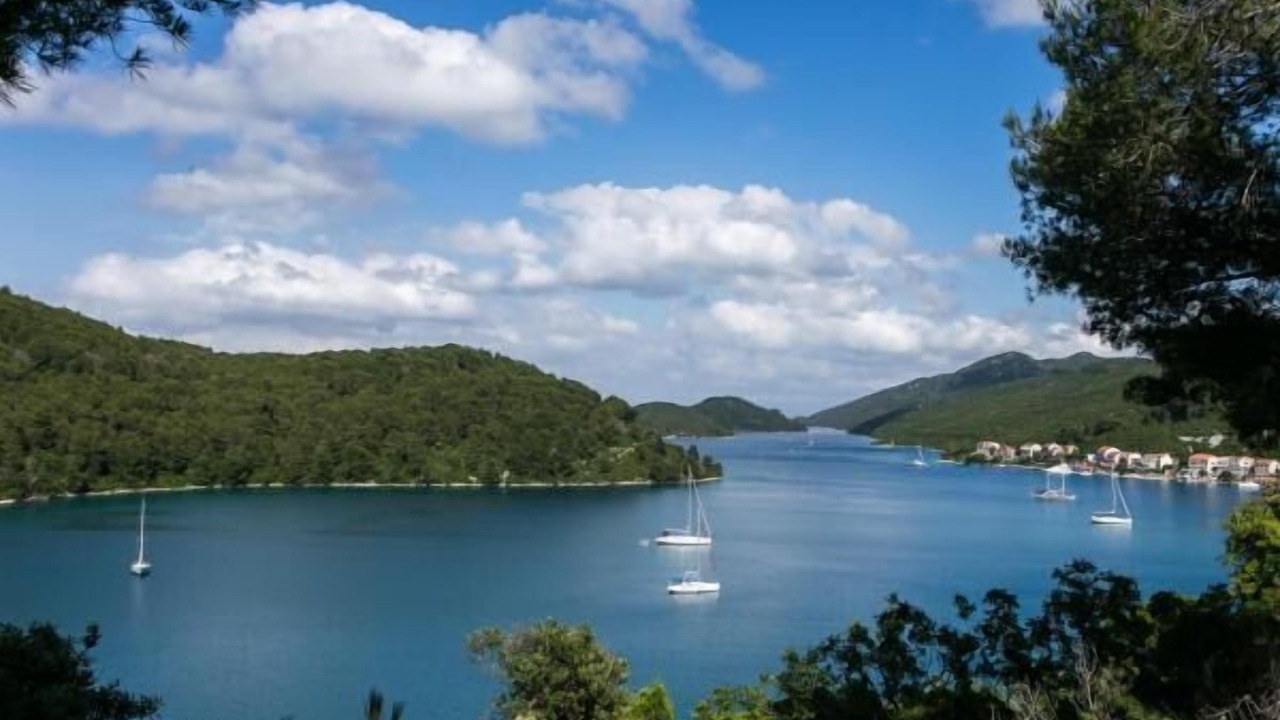 Photo of Outdoor in Polace