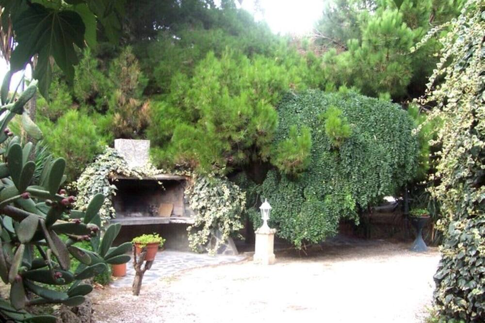 Photo of Outdoor in Sainte-Marie-la-Mer
