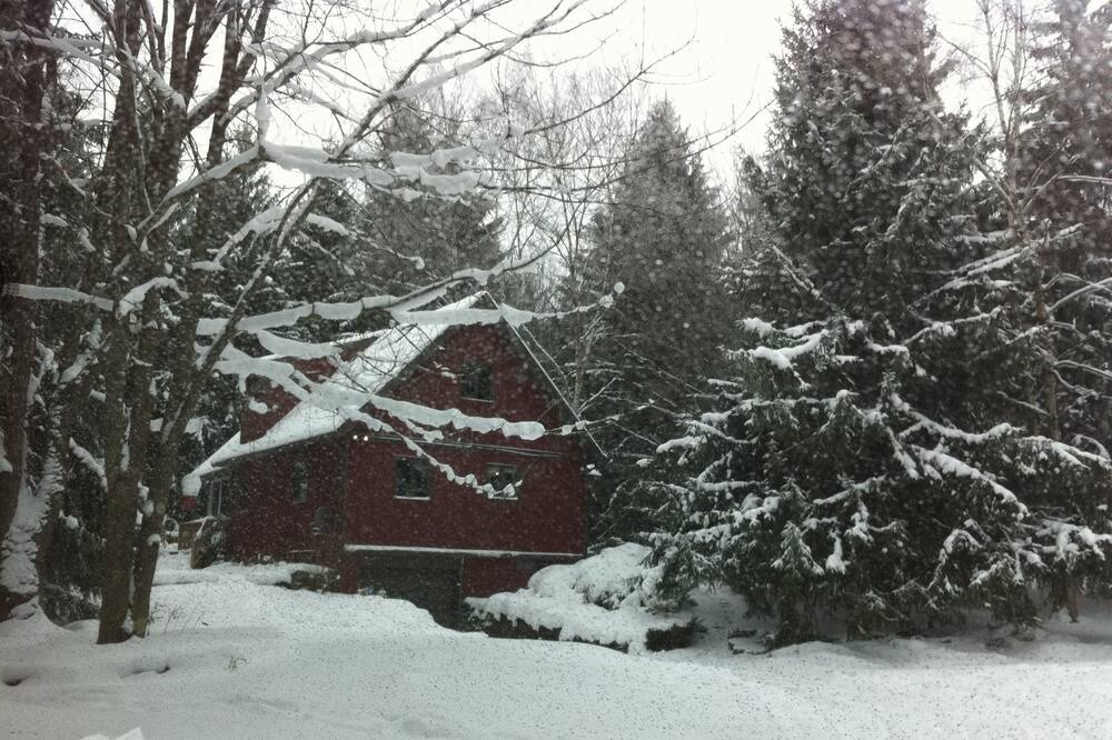 Photo of Others in Delhi