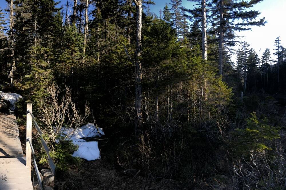 Photo of Others in Delhi