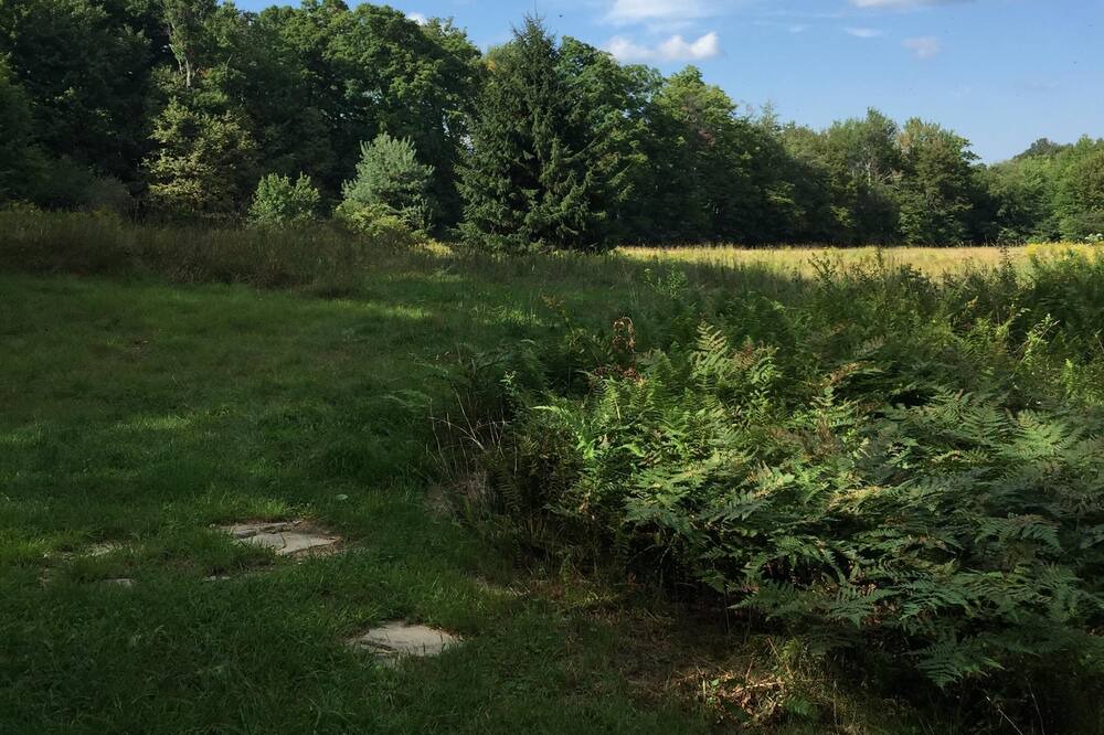 Photo of Outdoor in Delhi