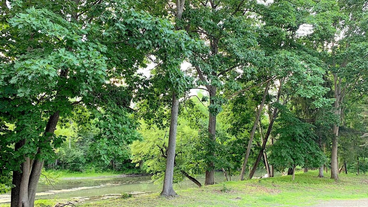 Photo of Outdoor in Hudson