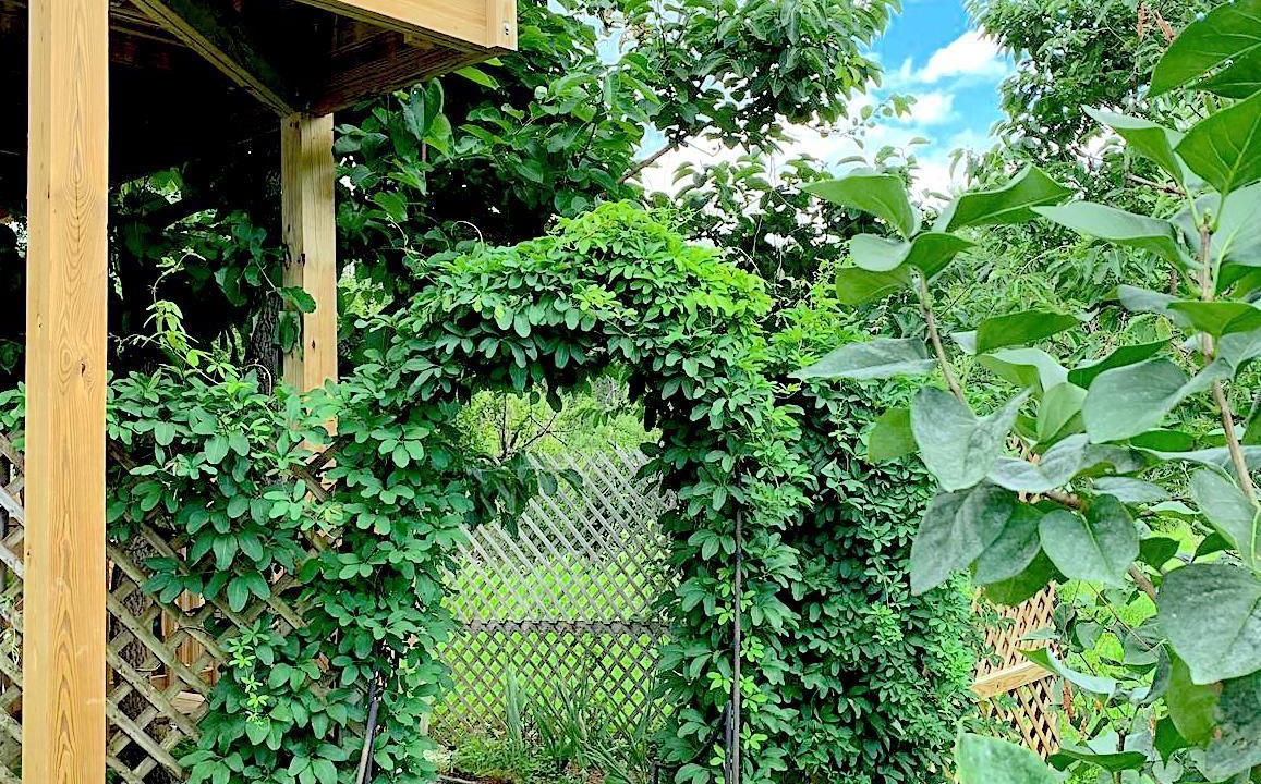 Photo of Outdoor in Hudson