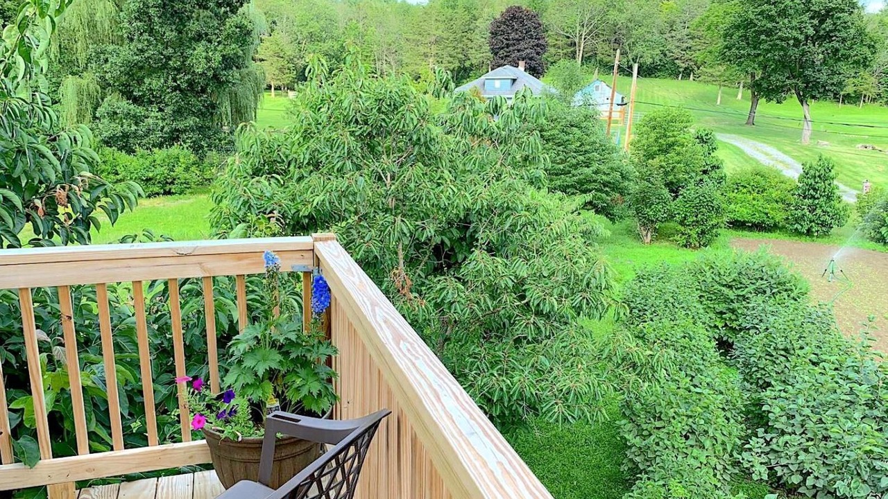 Photo of Patio Balcony in Hudson