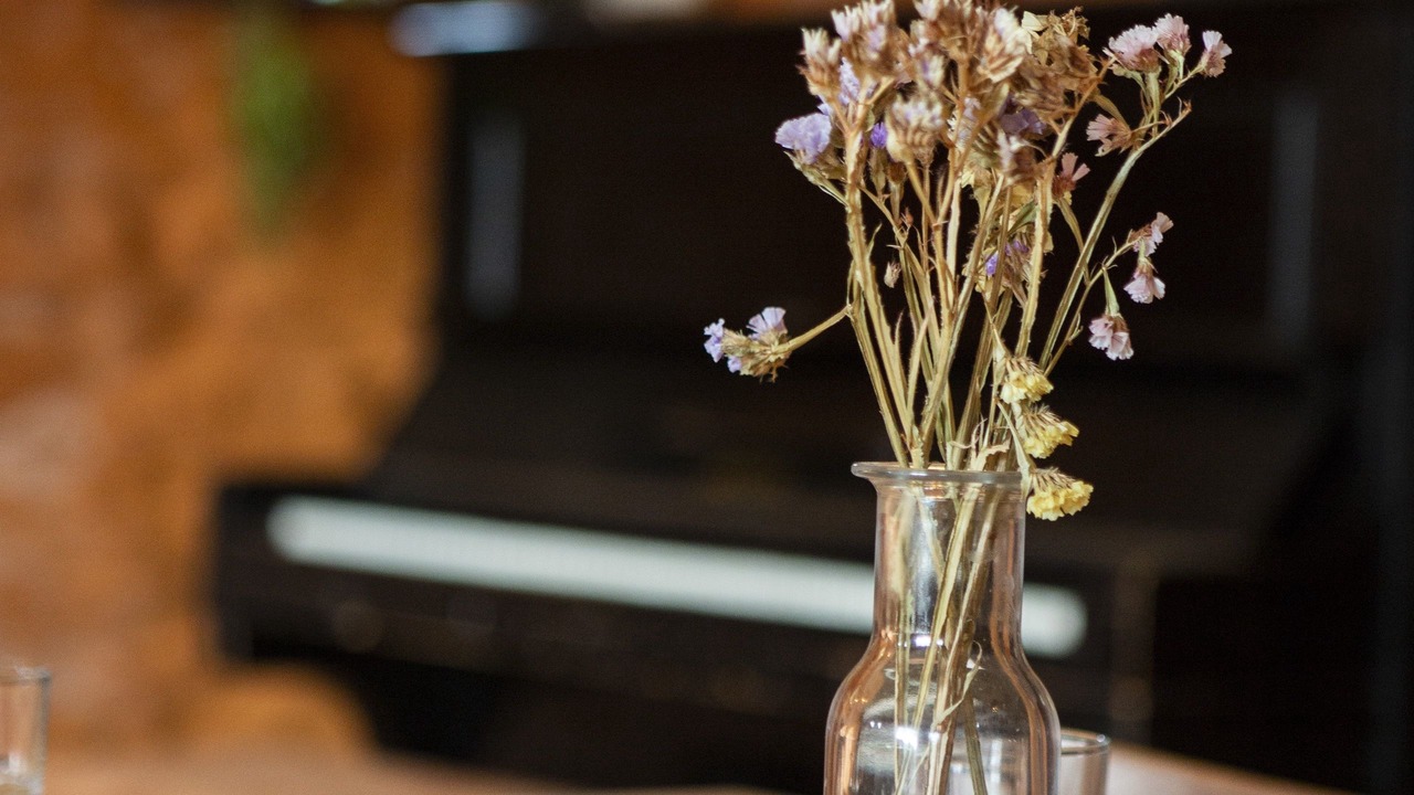 Photo of Others in Clearbrook