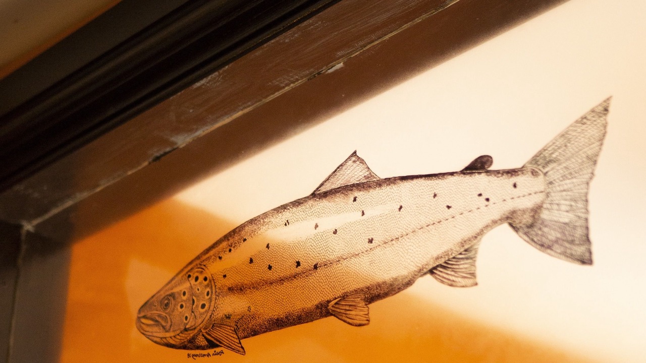 Photo of Others in Clearbrook