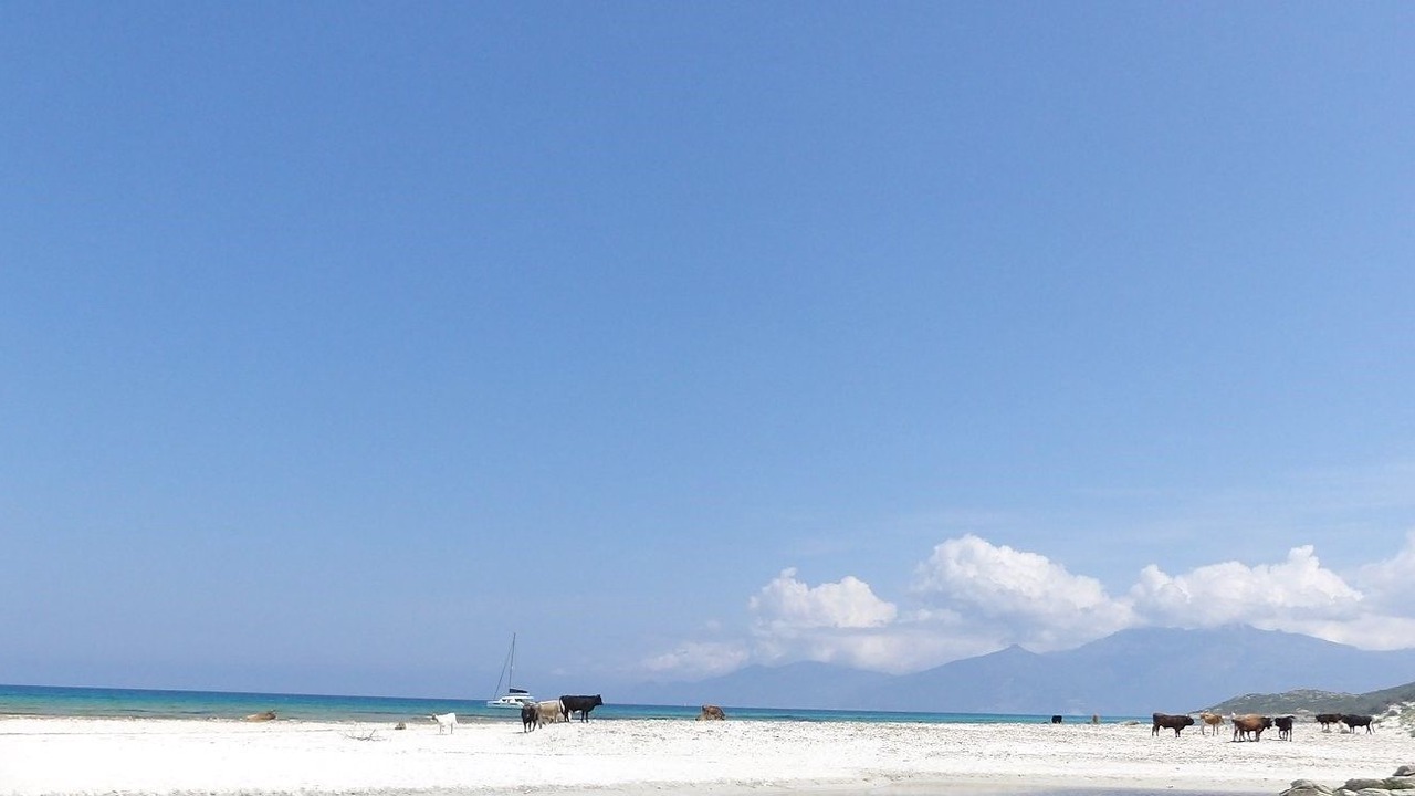 Photo of Others in Patrimonio