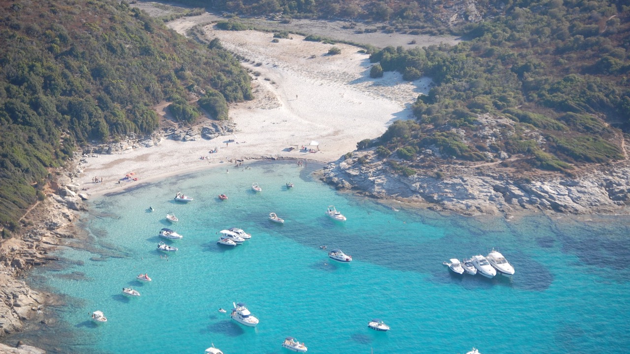 Photo of Others in Patrimonio