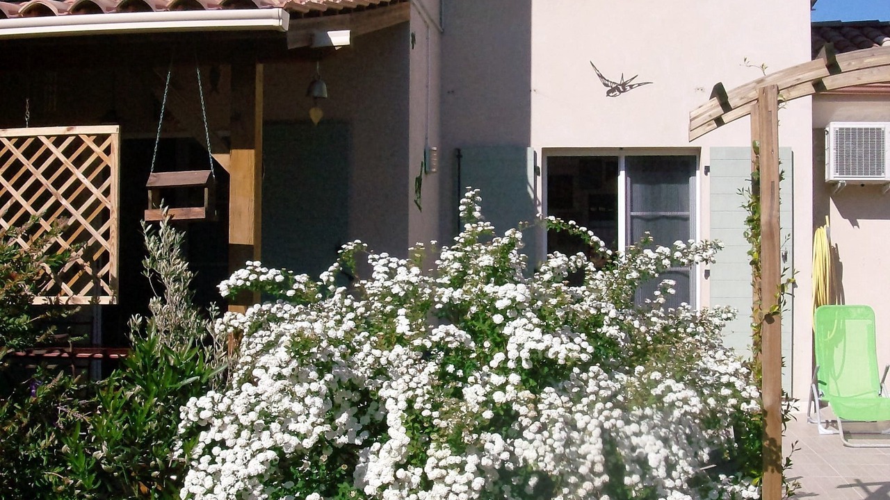 Photo of Outdoor in Patrimonio