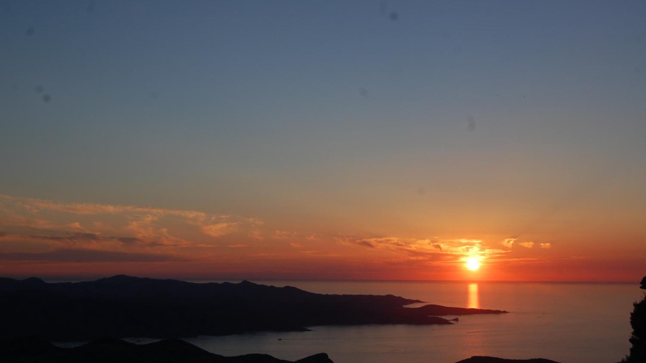 Photo of Others in Patrimonio