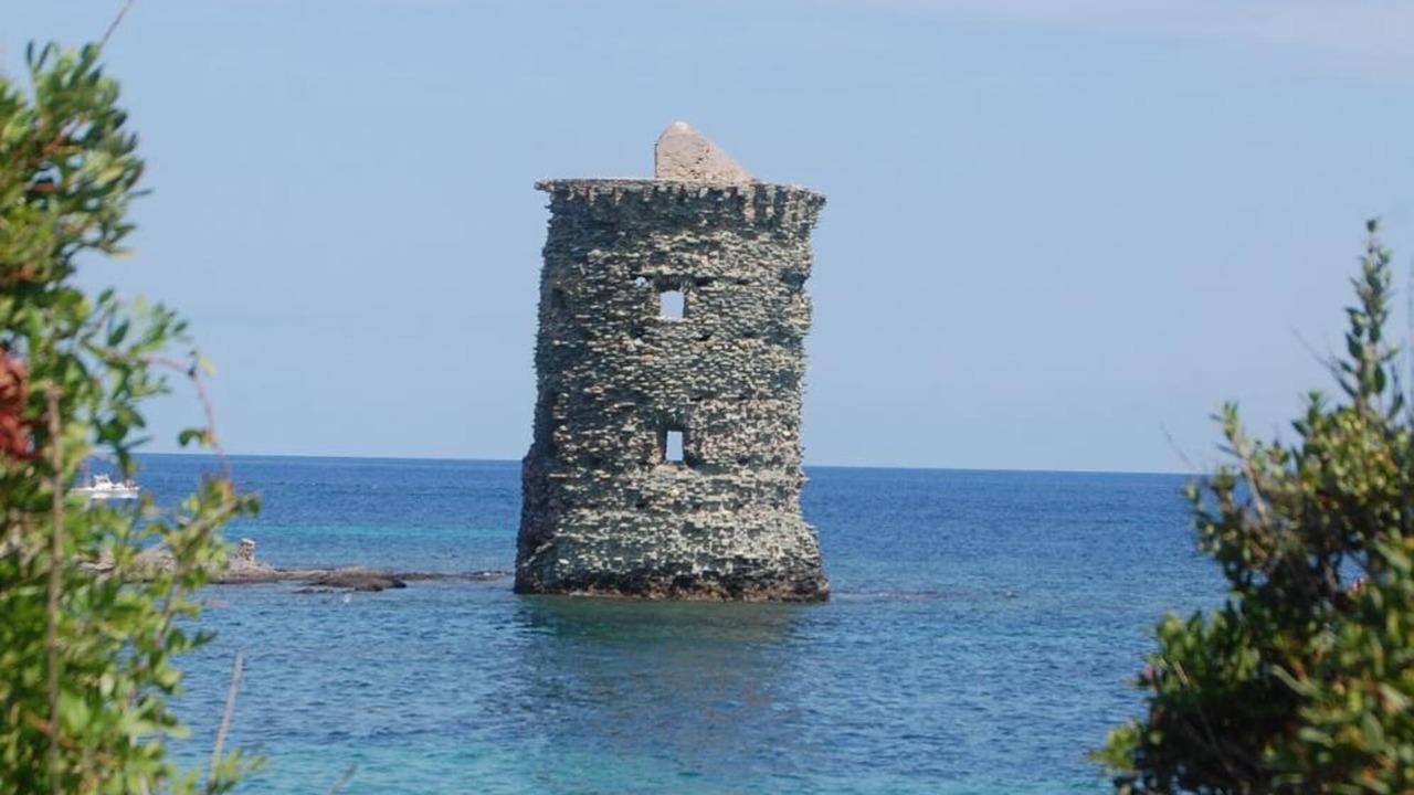 Photo of Others in Patrimonio