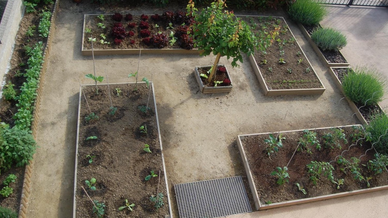 Photo of Outdoor in Patrimonio