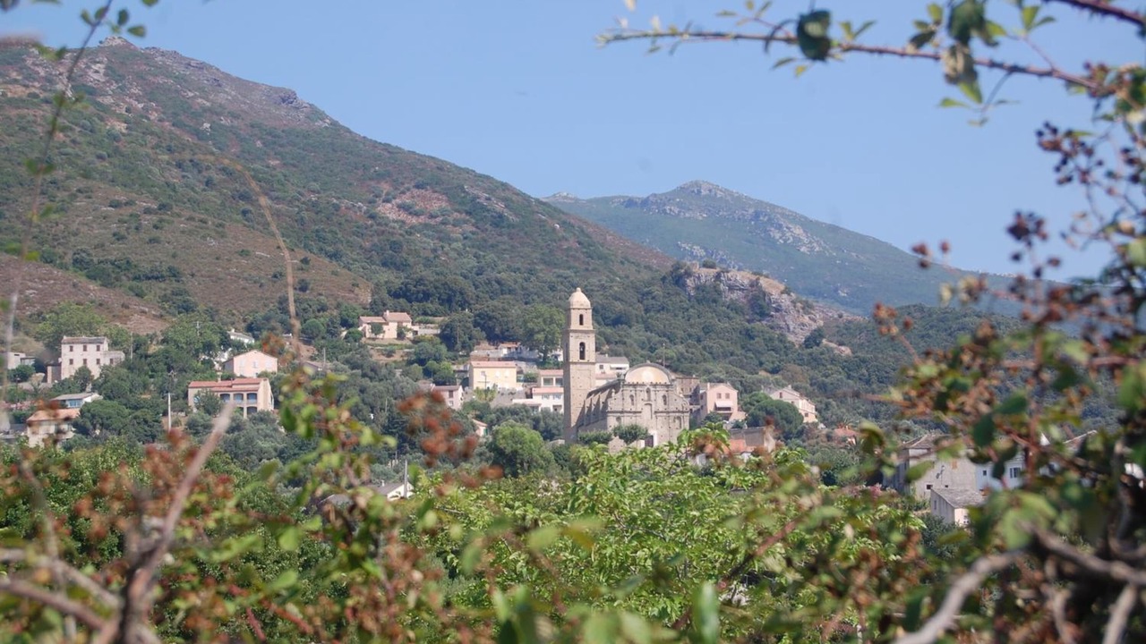 Photo of Outdoor in Patrimonio