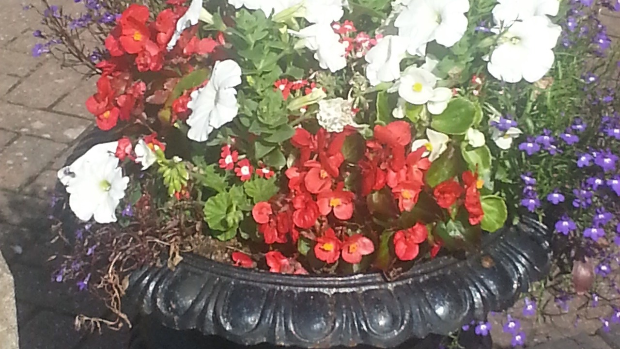 Photo of Outdoor in Kidderminster