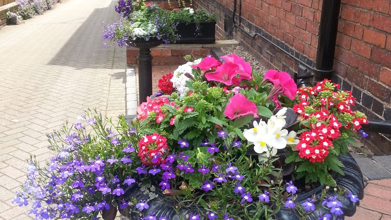 Photo of Outdoor in Kidderminster