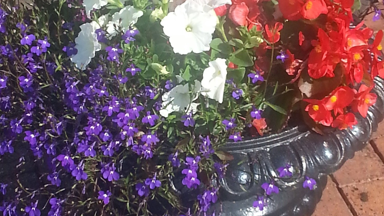 Photo of Outdoor in Kidderminster