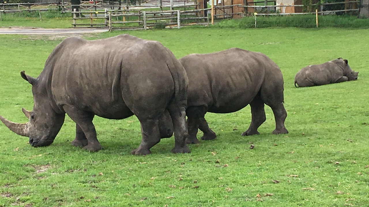 Photo of Others in Kidderminster