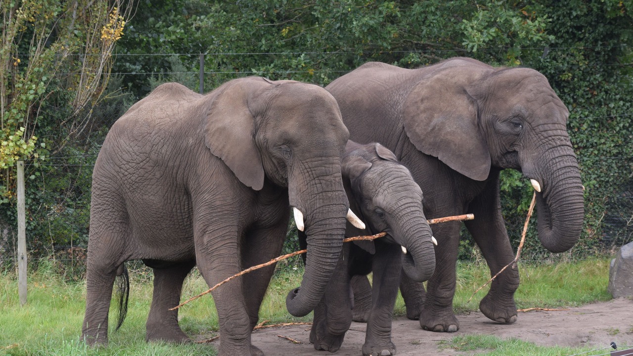 Photo of Others in Kidderminster