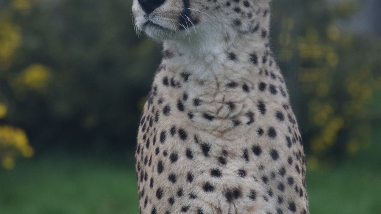 Photo of Others in Kidderminster