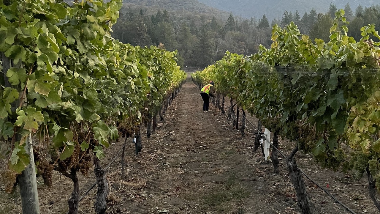 Photo of Outdoor in Murphy