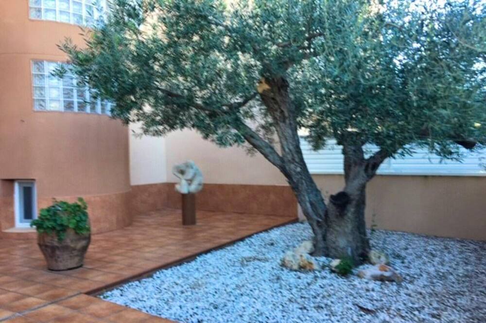 Photo of Outdoor in El Perello