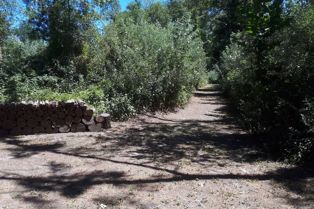 Photo of Outdoor in Roquemaure