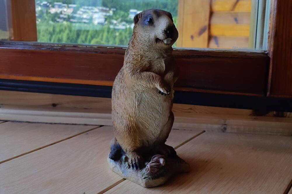 Photo of Others in Pyrenees 2000