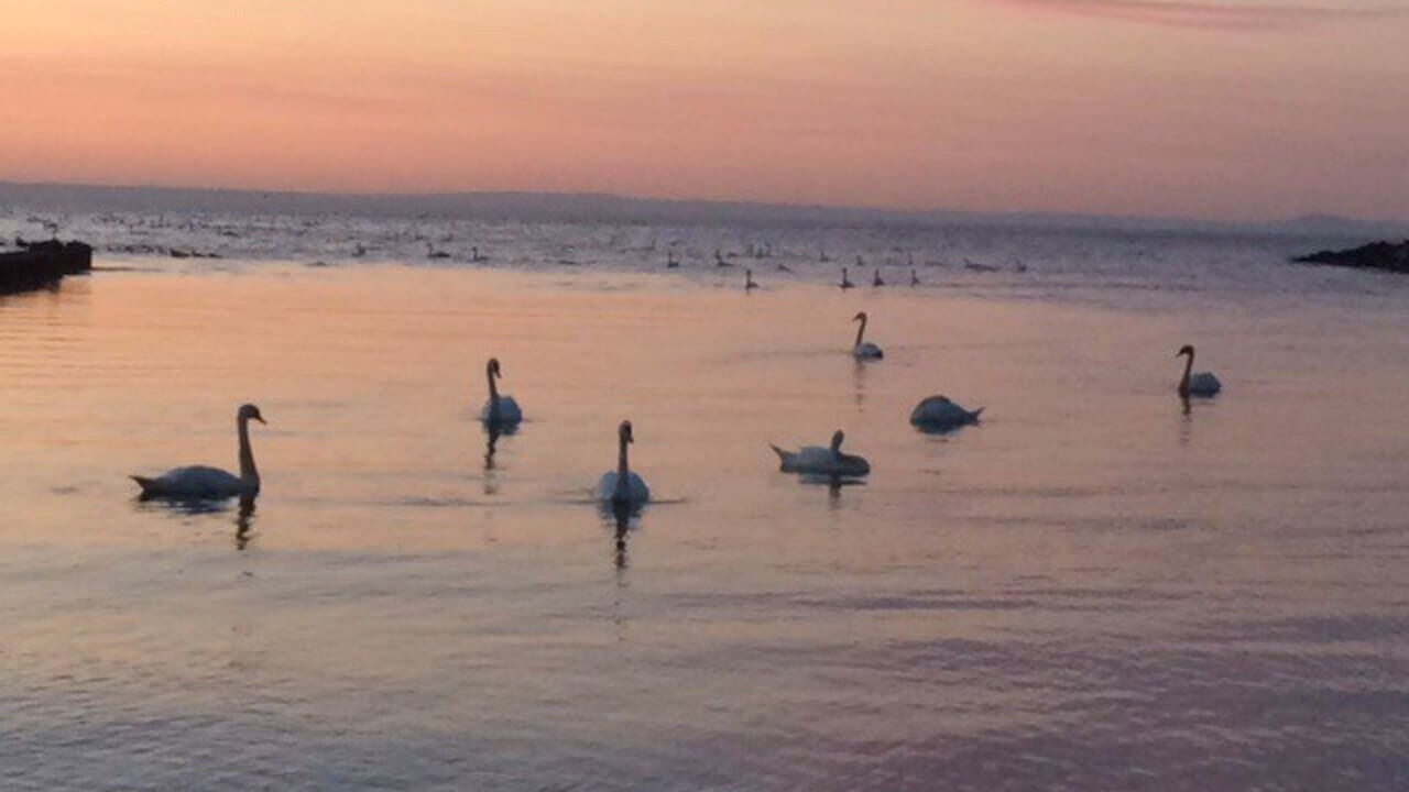 Photo of Others in Fisherrow