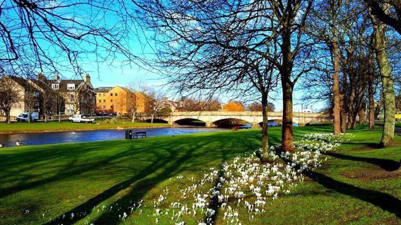 Photo of Others in Fisherrow