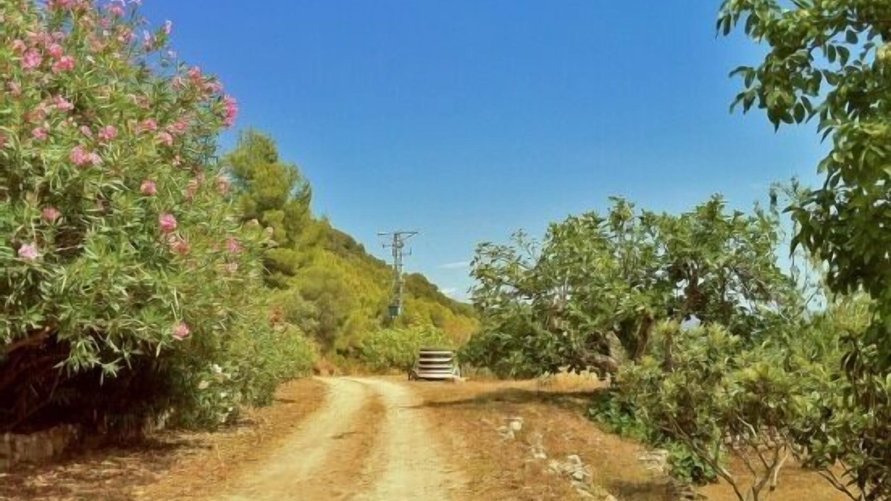 Photo of Outdoor in Alcover