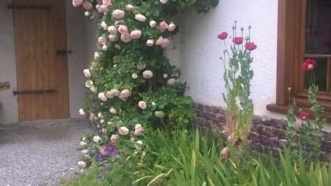 Photo of Outdoor in Audrehem