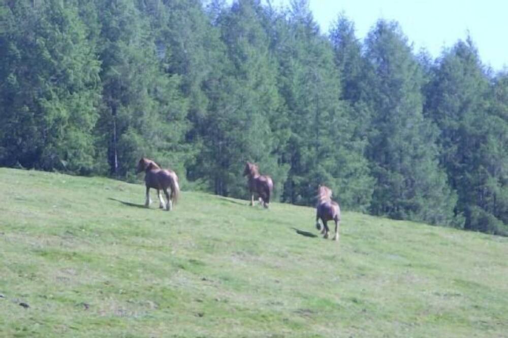 Photo of Outdoor in Aldatz