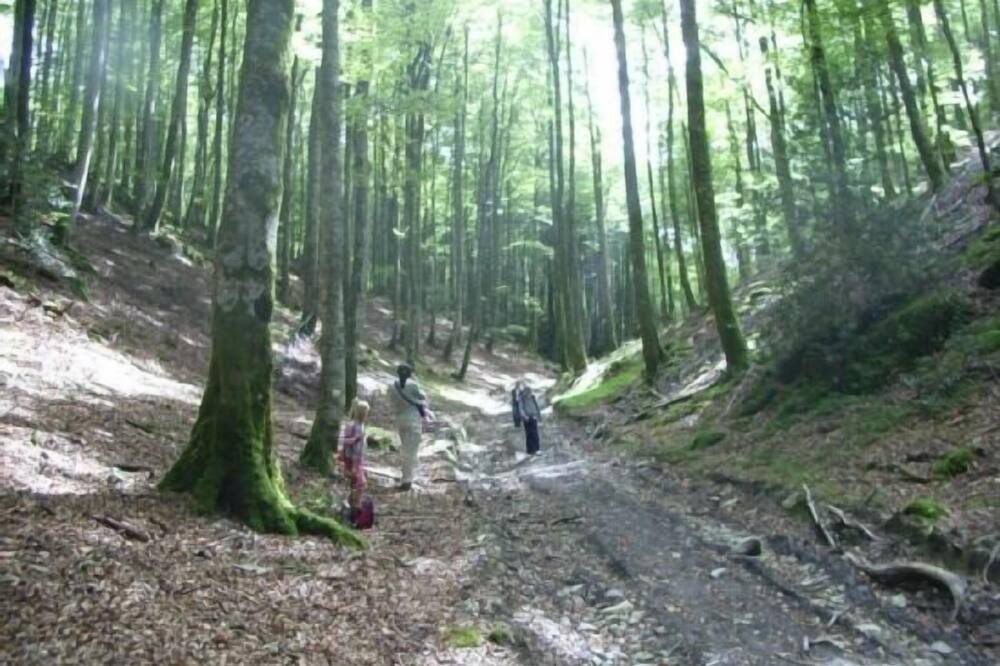 Photo of Outdoor in Aldatz
