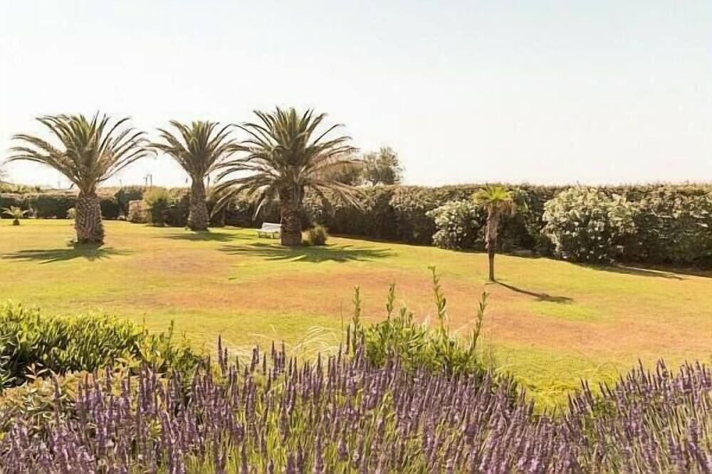 Photo of Outdoor in Cap d'Agde