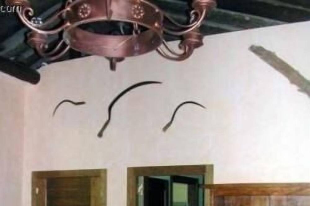 Photo of Bedroom in Lanaja