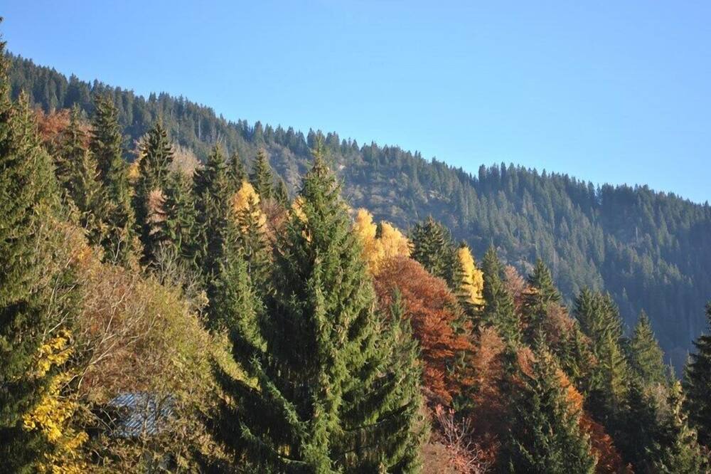 Photo of Others in Cohennoz