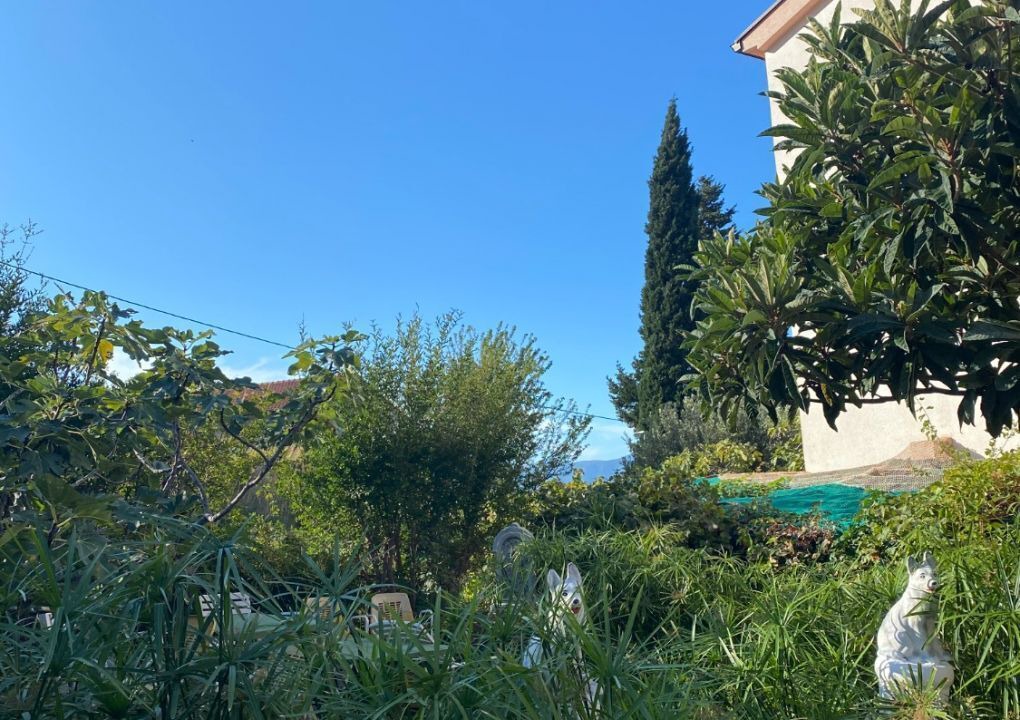 Photo of Outdoor in Gradac