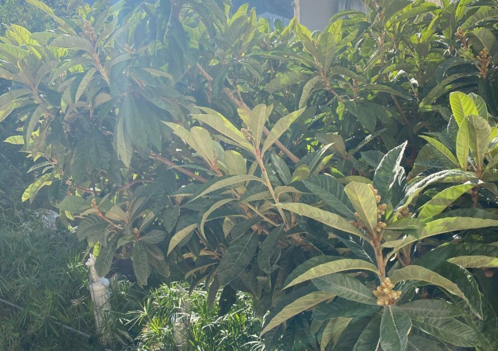 Photo of Outdoor in Gradac