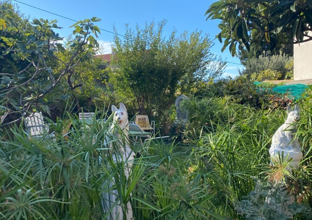 Photo of Outdoor in Gradac