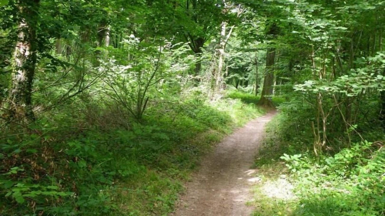 Photo of Outdoor in Bouquehault