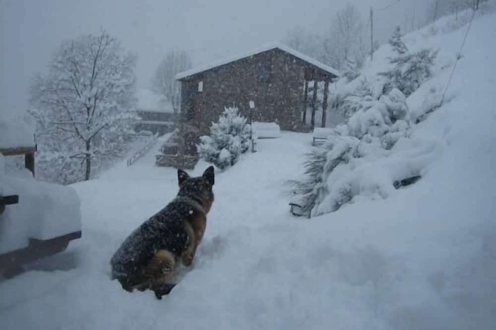 Photo of Outdoor in Queralbs