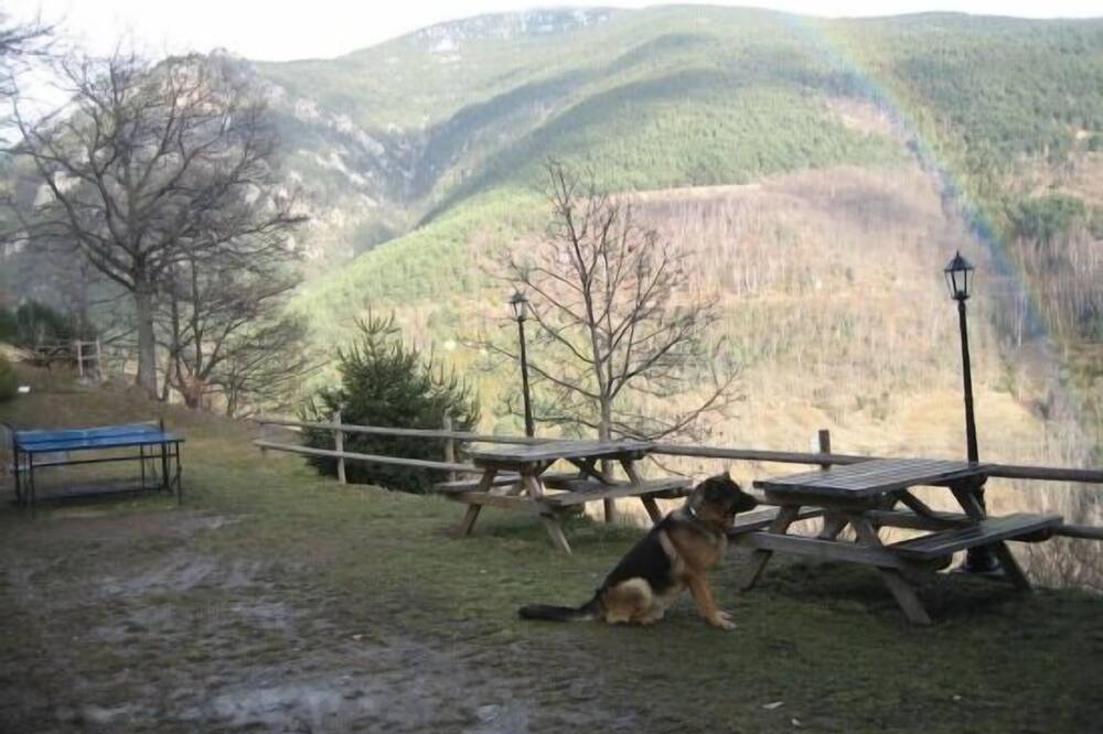 Photo of Outdoor in Queralbs