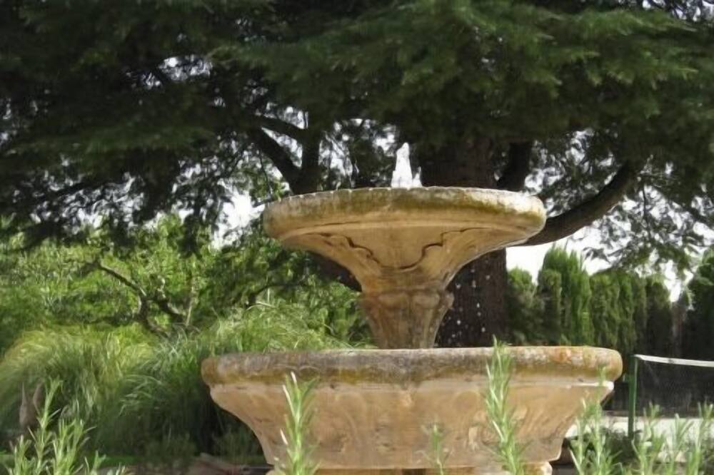 Photo of Outdoor in Alameda de Cervera