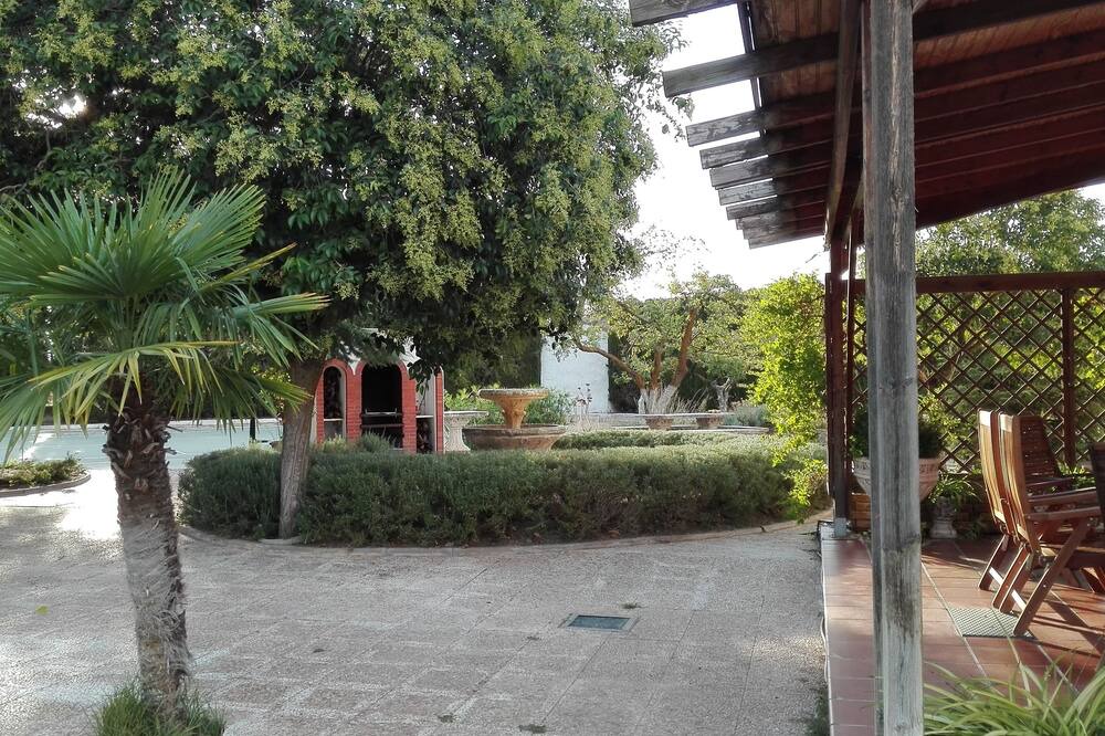 Photo of Outdoor in Alameda de Cervera