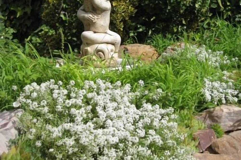 Photo of Outdoor in Alameda de Cervera