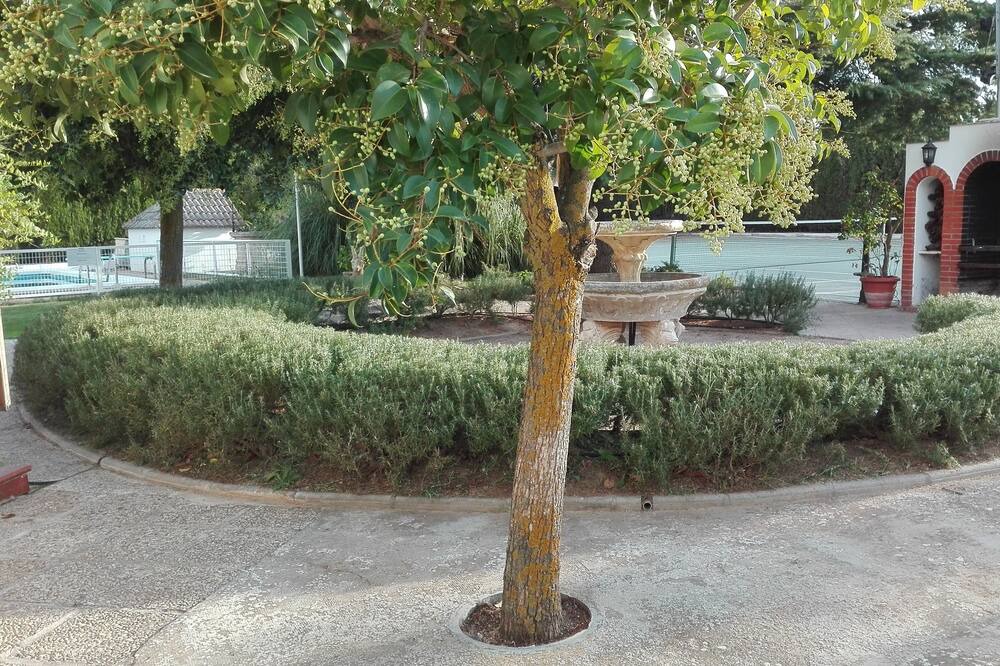Photo of Outdoor in Alameda de Cervera