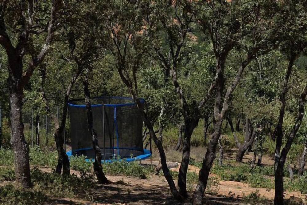 Photo of Outdoor in Castillejo de Mesleon