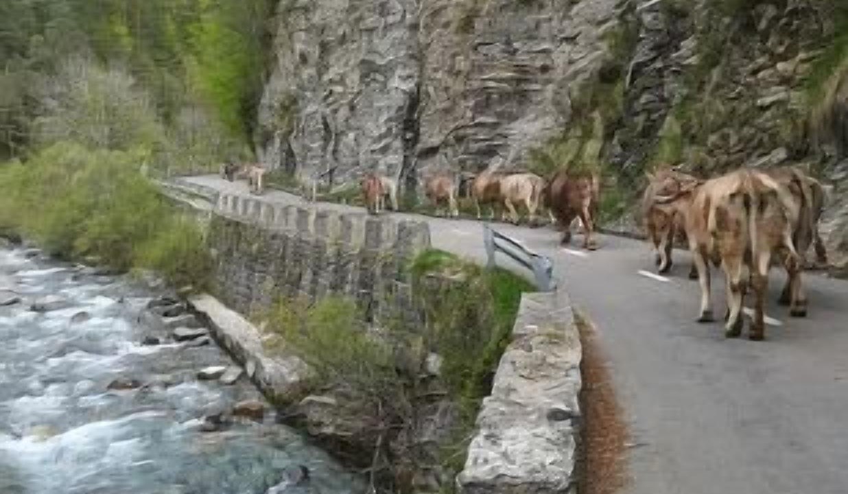Photo of Outdoor in Anso